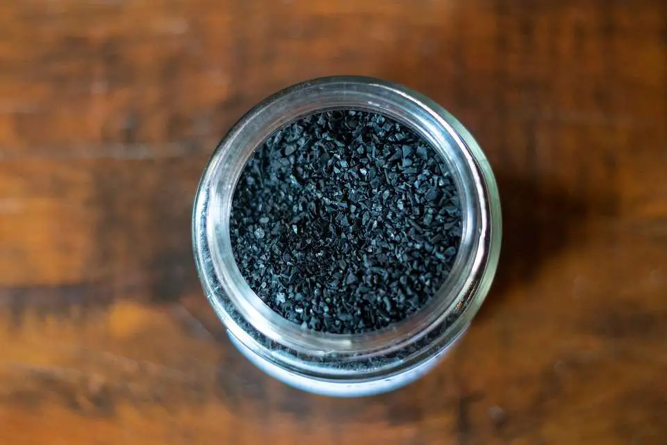 Activated charcoal for poisoned breaded dragon