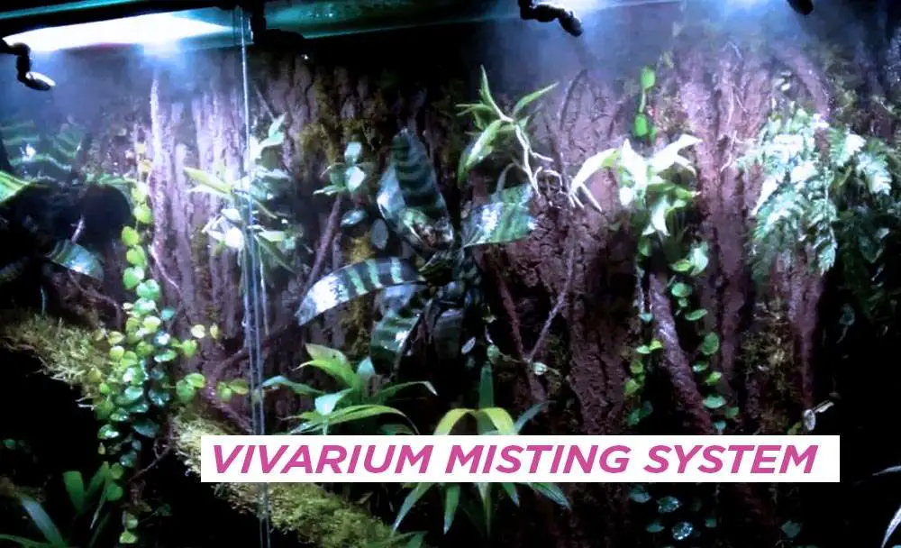 Vivarium misting